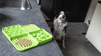 Eat Slow Live Longer Lick Mat Dimensions Rectangle