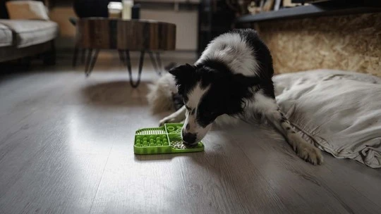 Eat Slow Live Longer Lick Mat Dimensions Rectangle - 3