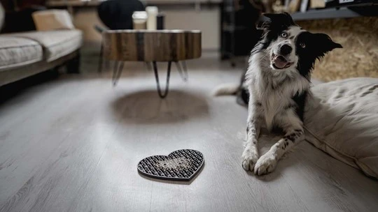 Eat Slow Live Longer Lick Mat Lovely - 6