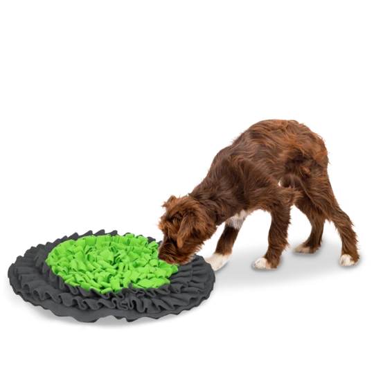 Eat Slow Live Longer Snuffle Mat - 2