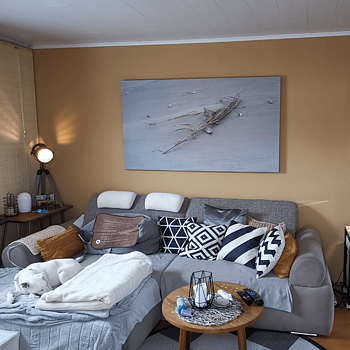 Marigold - Living room