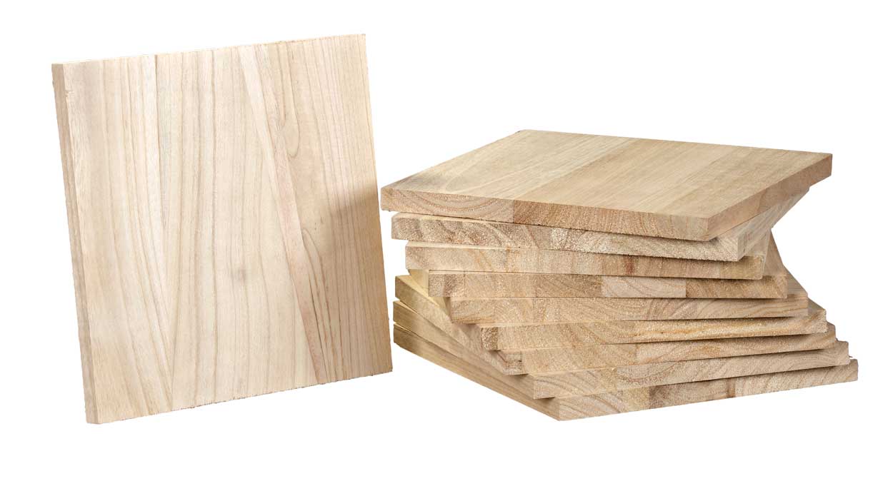 JU Breakboard Paulownia Trä Economy - 2
