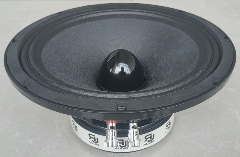 RJAUDIO RJM-10B - 4