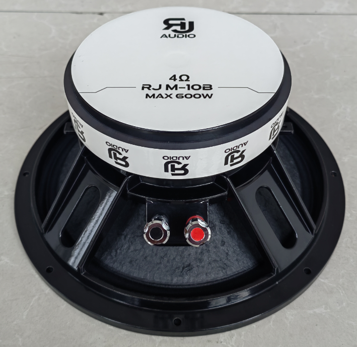 RJAUDIO RJM-10B - 2