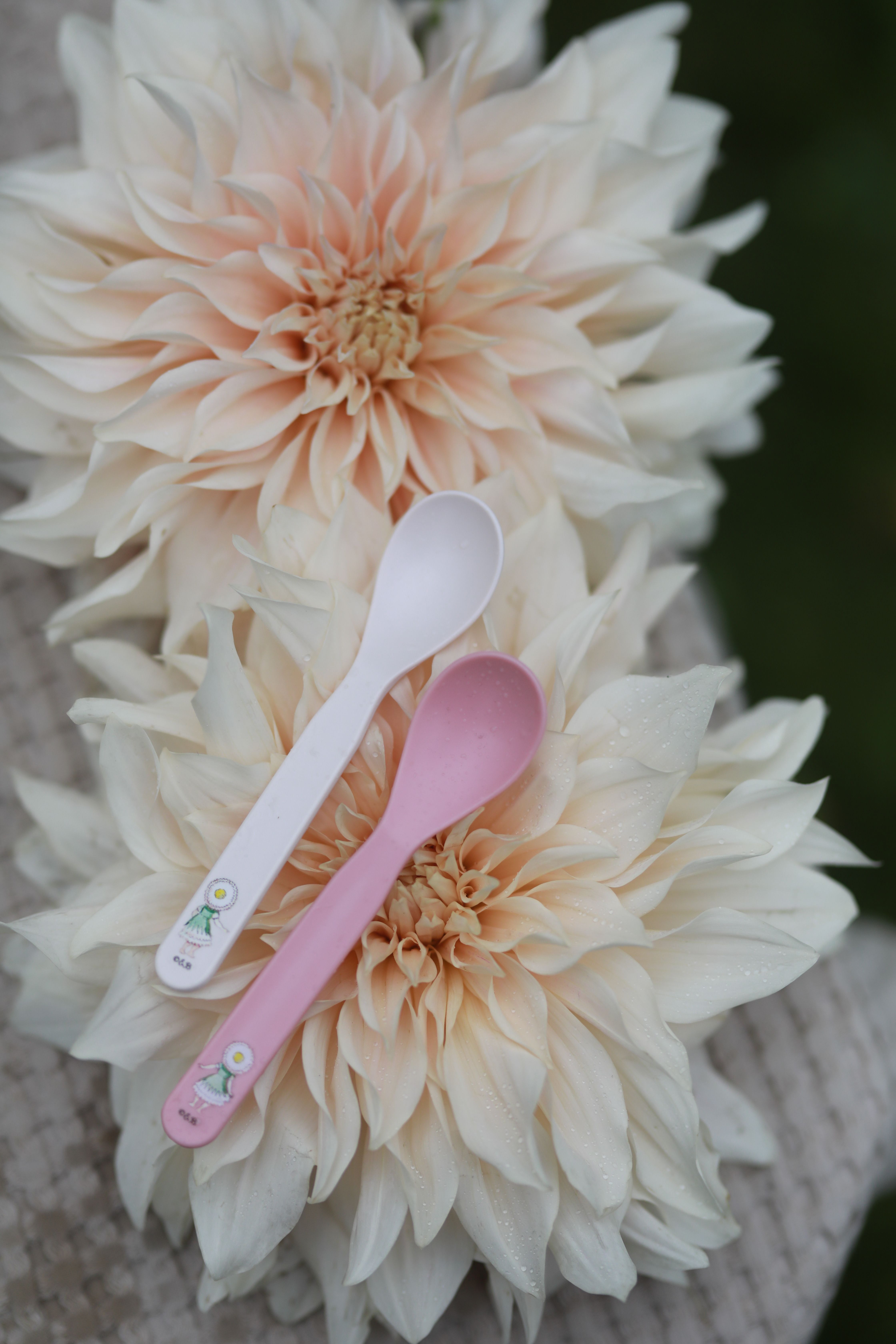Elsa Beskow Skedar 2-Pack - Blomsterfesten - 3