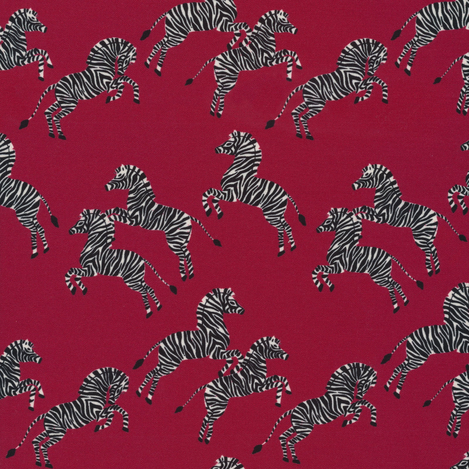 Zebras - Just Zebras (30 x 110 cm)