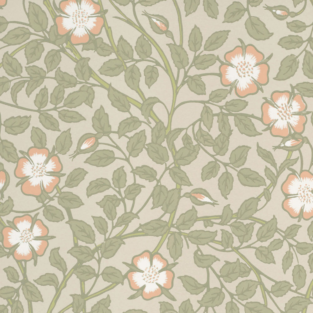 TAPET BRIAR & ROSE, Green Mist