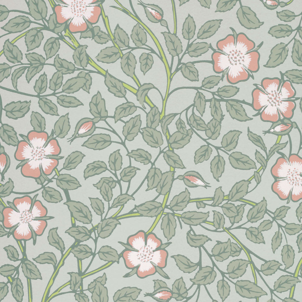 TAPET BRIAR & ROSE, Salix