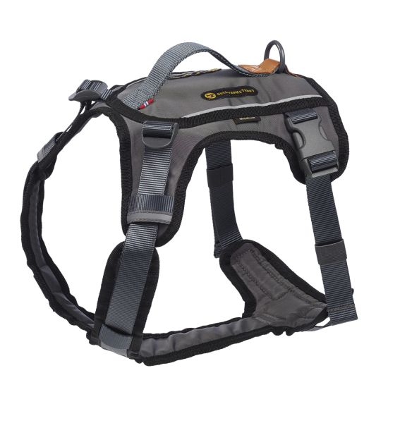 Seleverkstedet Comfort Hundsele - Grå (XS)