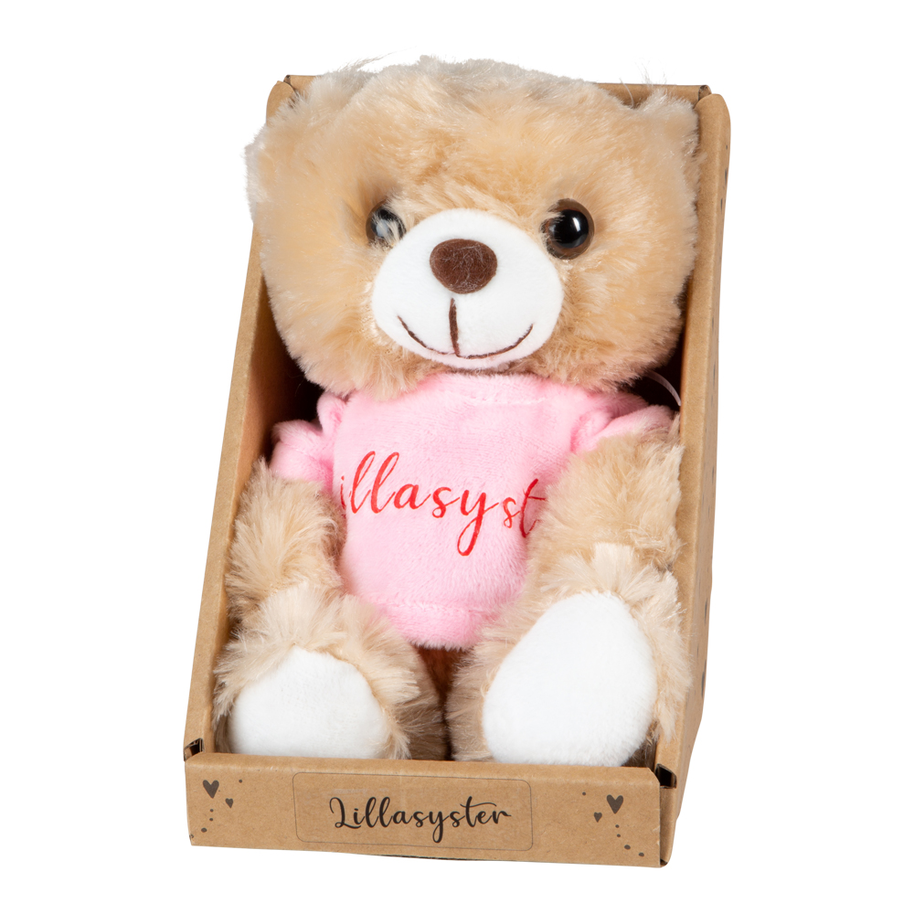 Lillasyster Nalle