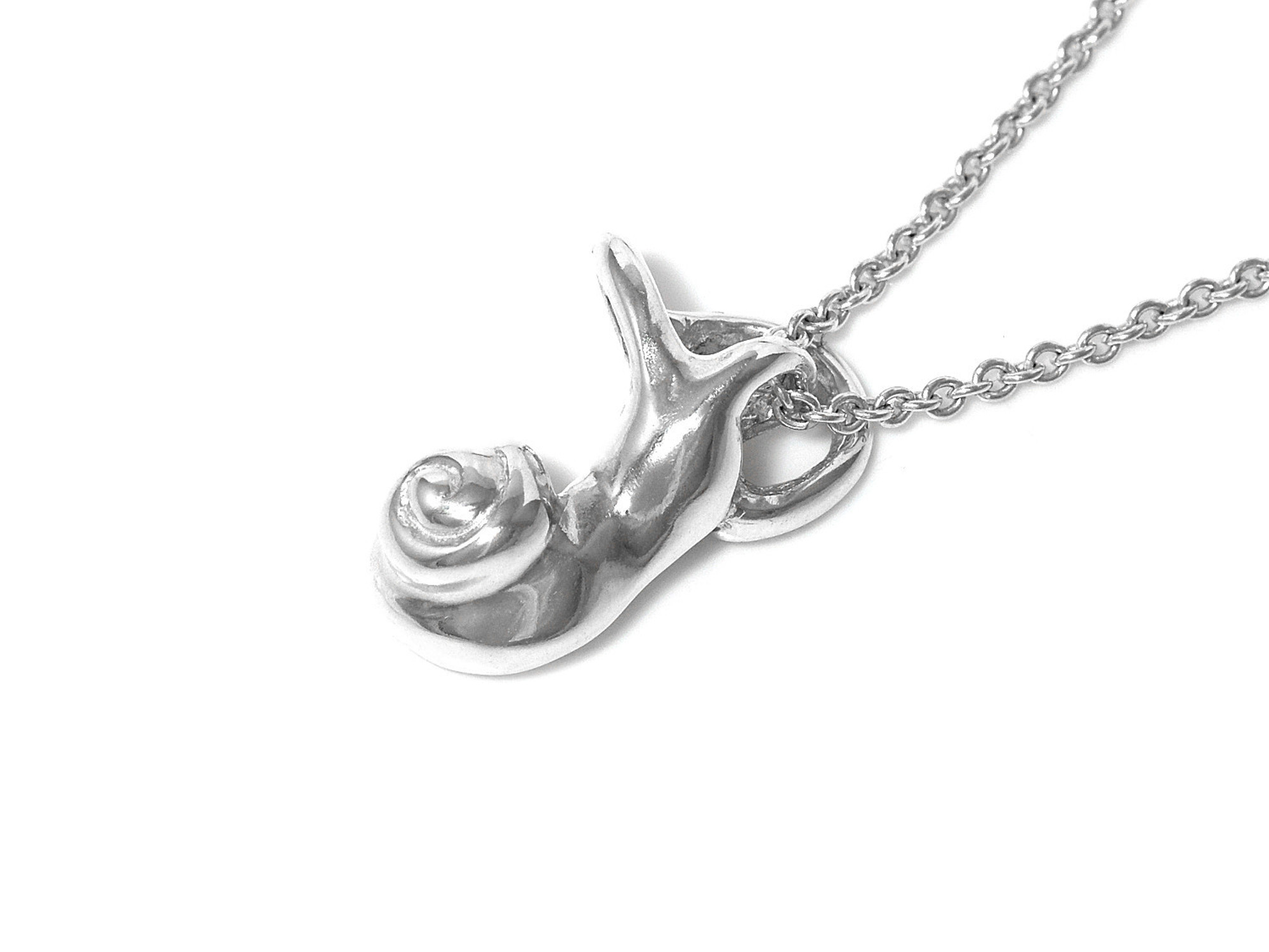 Hörselsnäcka Halsband, Anatomi Smycke i Silver
