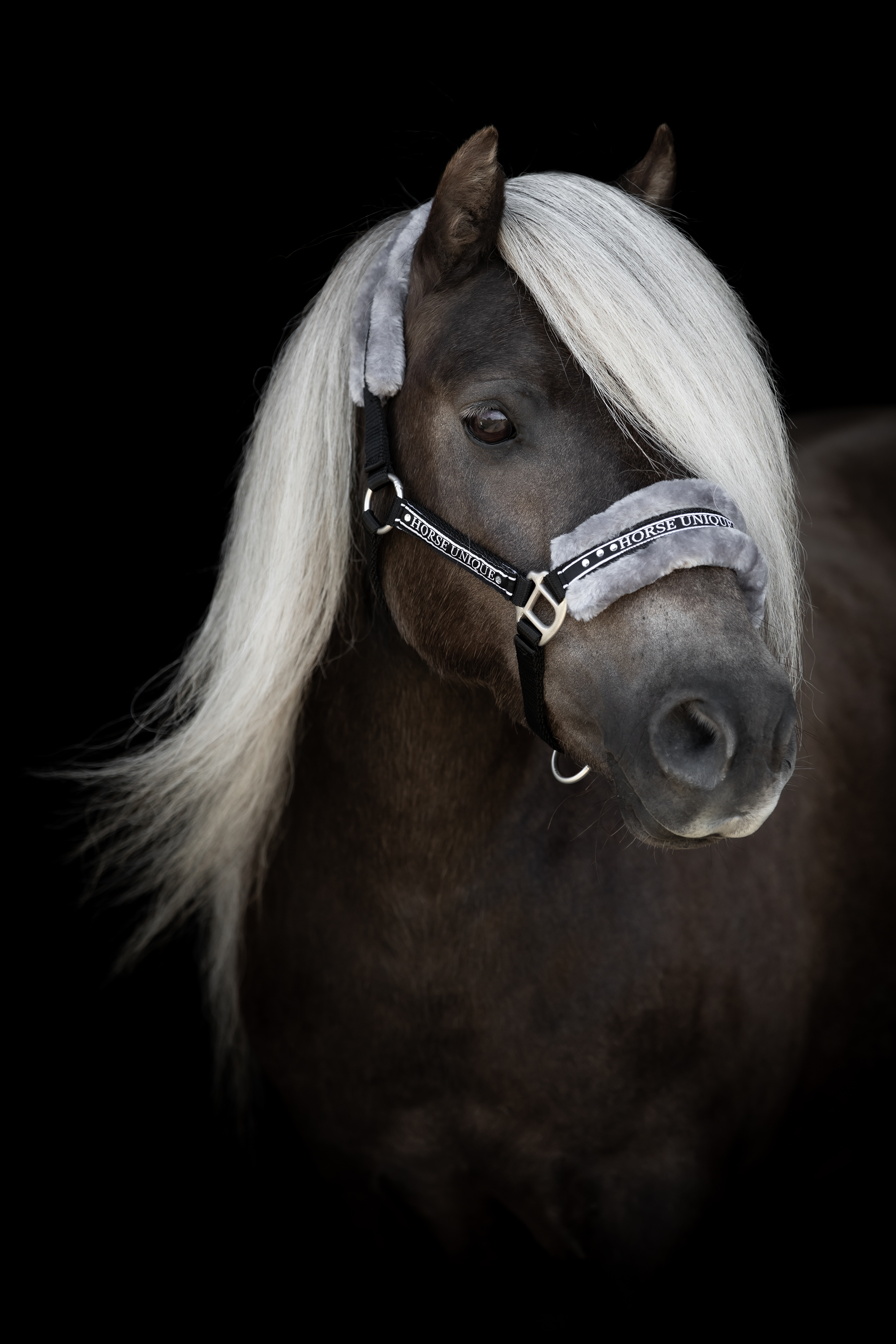 Källquist Equestrian Grimma Minishetland - Svart/Grå