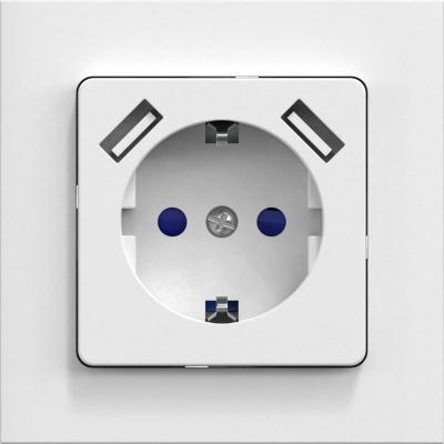 Vägguttag, infällt, jordat, med USB - 2