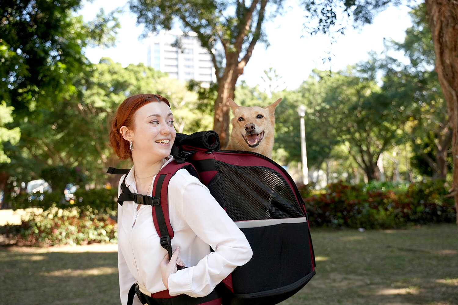 Champion Large Dog Carrier Backpack - Musta  - 17
