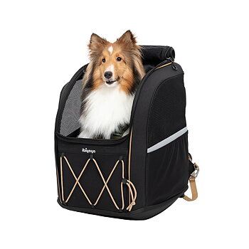 Champion Large Dog Carrier Backpack - Svart 