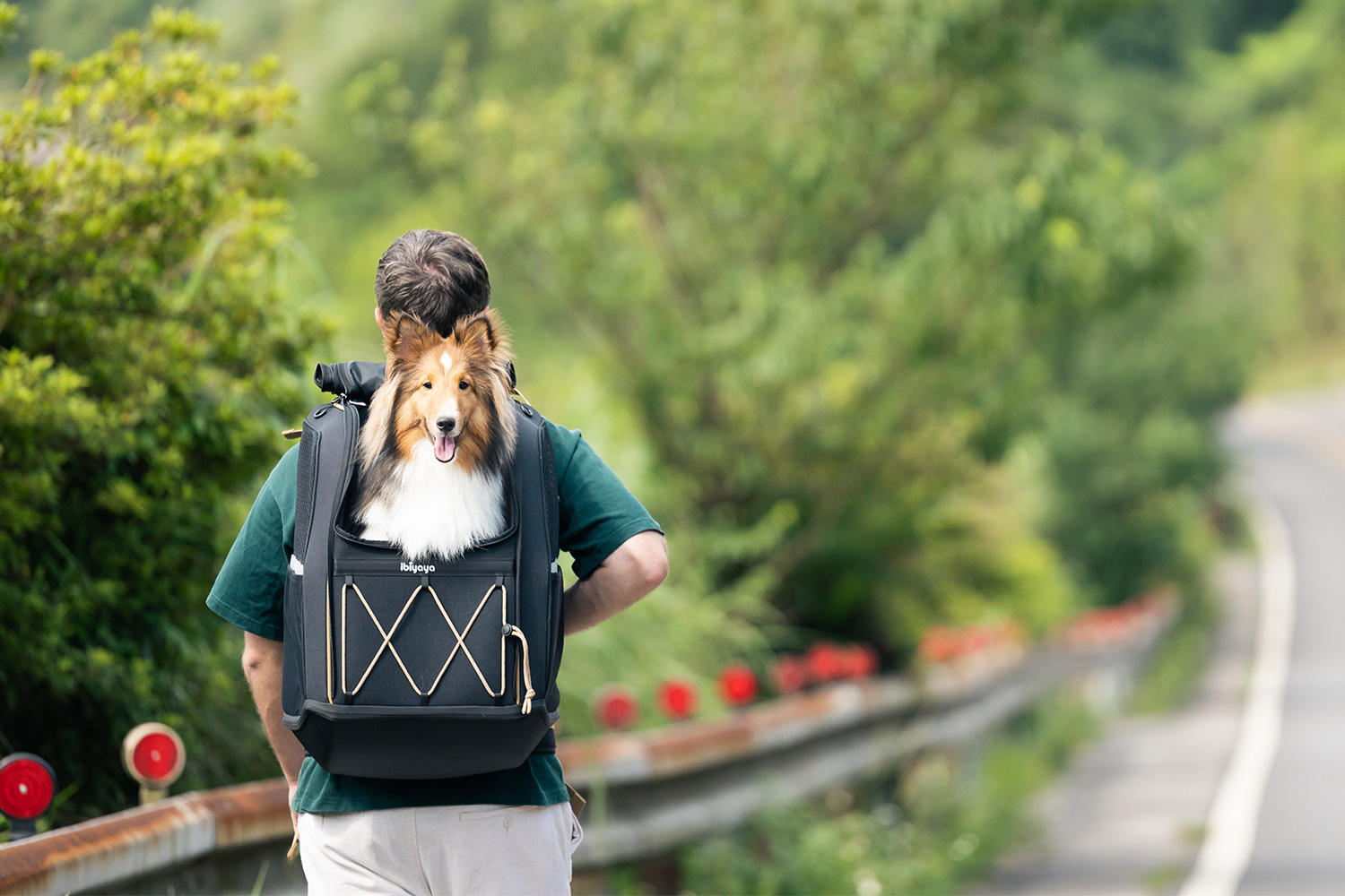 Champion Large Dog Carrier Backpack - Musta  - 9