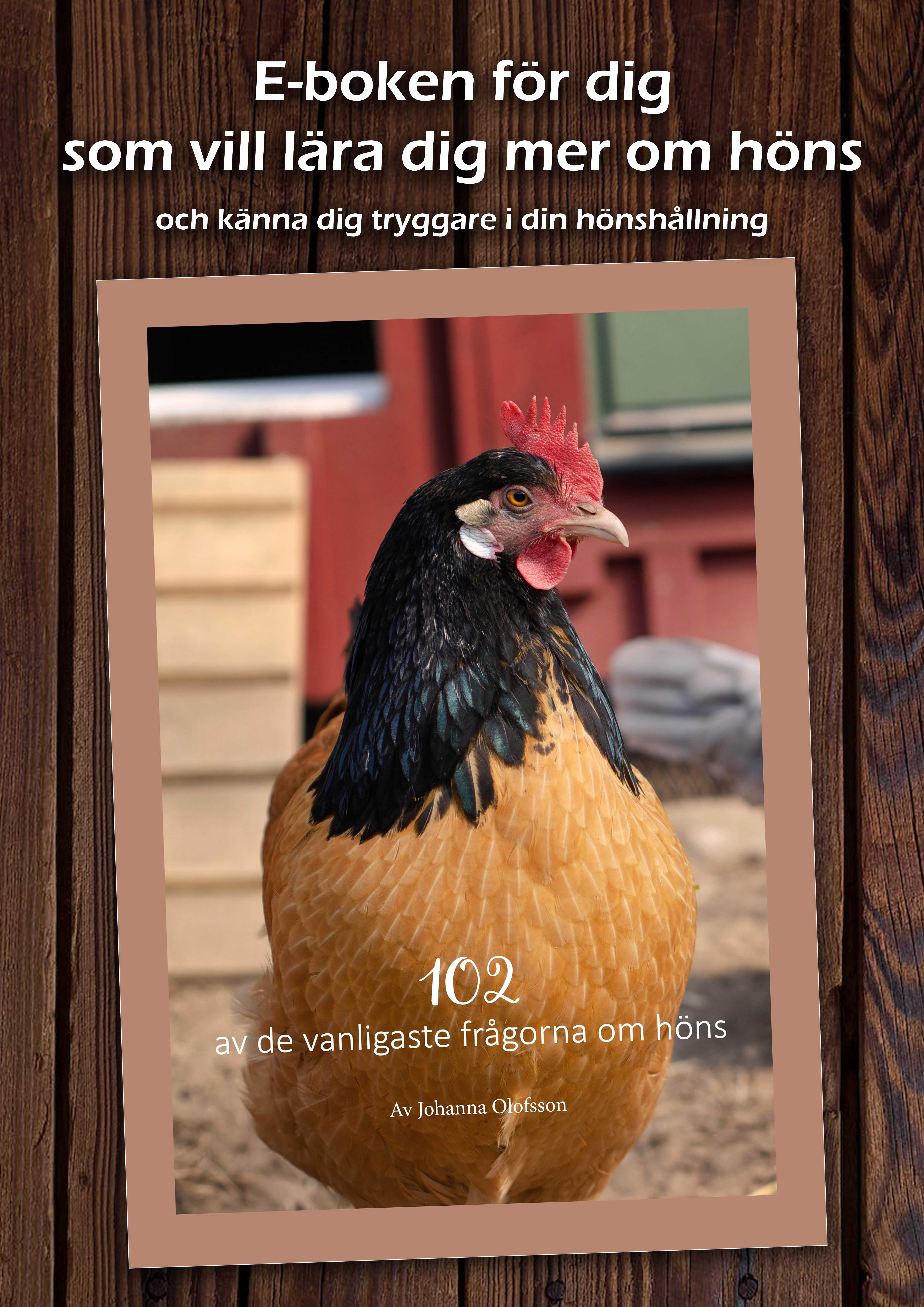 E-bok "102 av de vanligaste frågorna om höns" (Digital produkt) 
