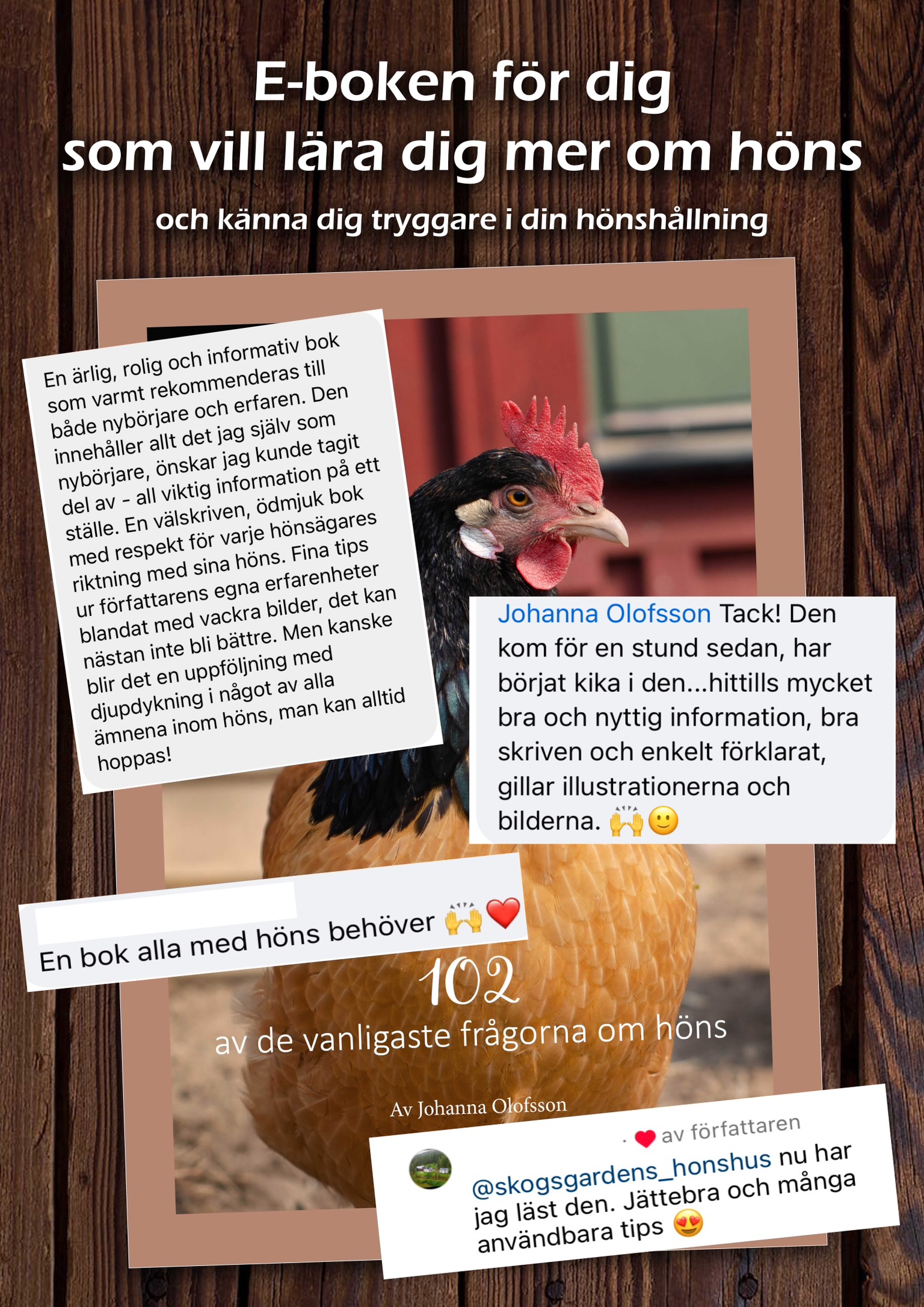E-bok "102 av de vanligaste frågorna om höns" (Digital produkt) 