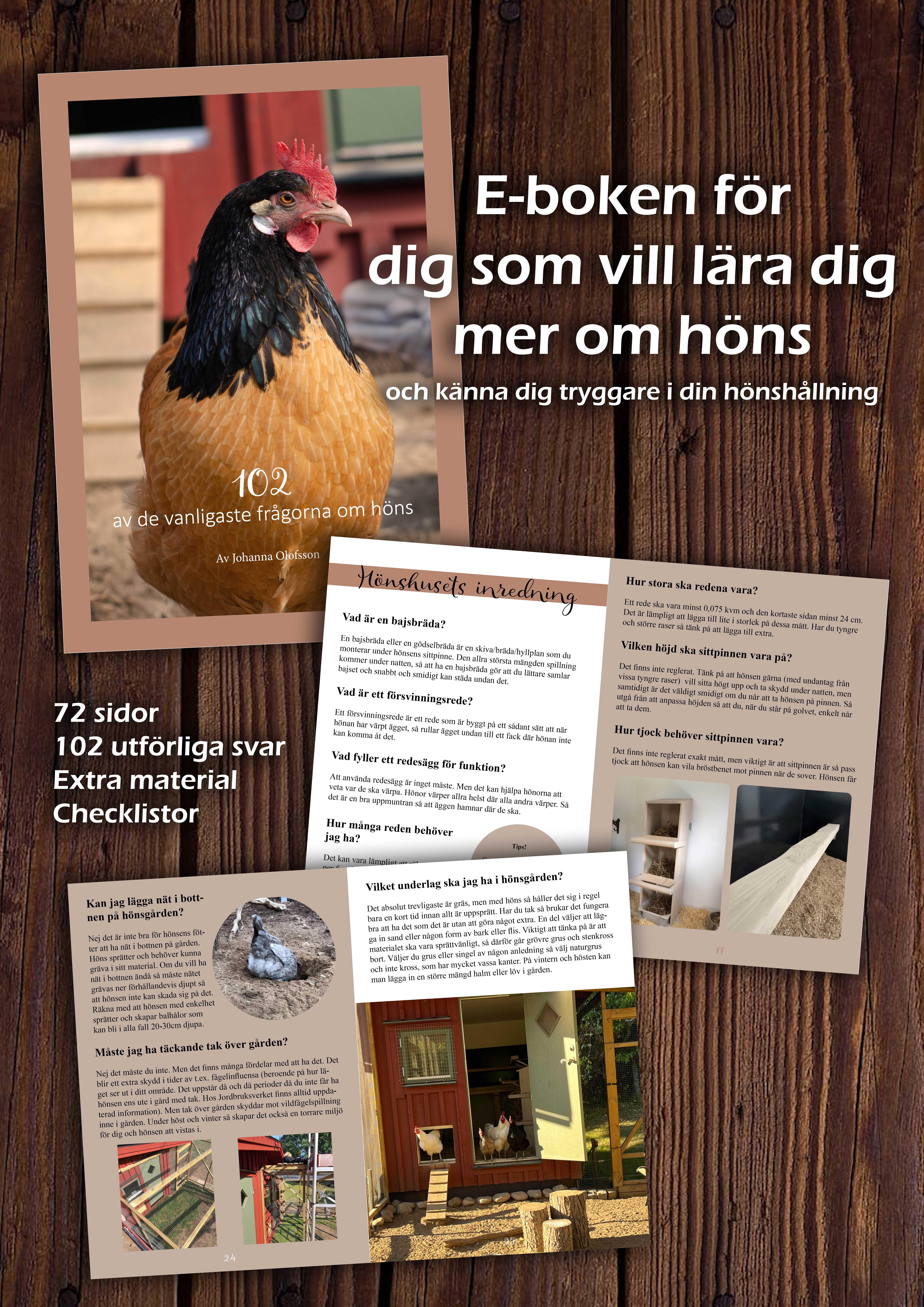 E-bok "102 av de vanligaste frågorna om höns" (Digital produkt) 