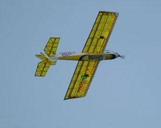 Topmodel REBELOVE ARF  sp: 1.56m - 8