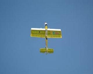 Topmodel REBELOVE ARF  sp: 1.56m - 7