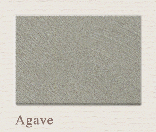 Agave - PAINTING THE PAST