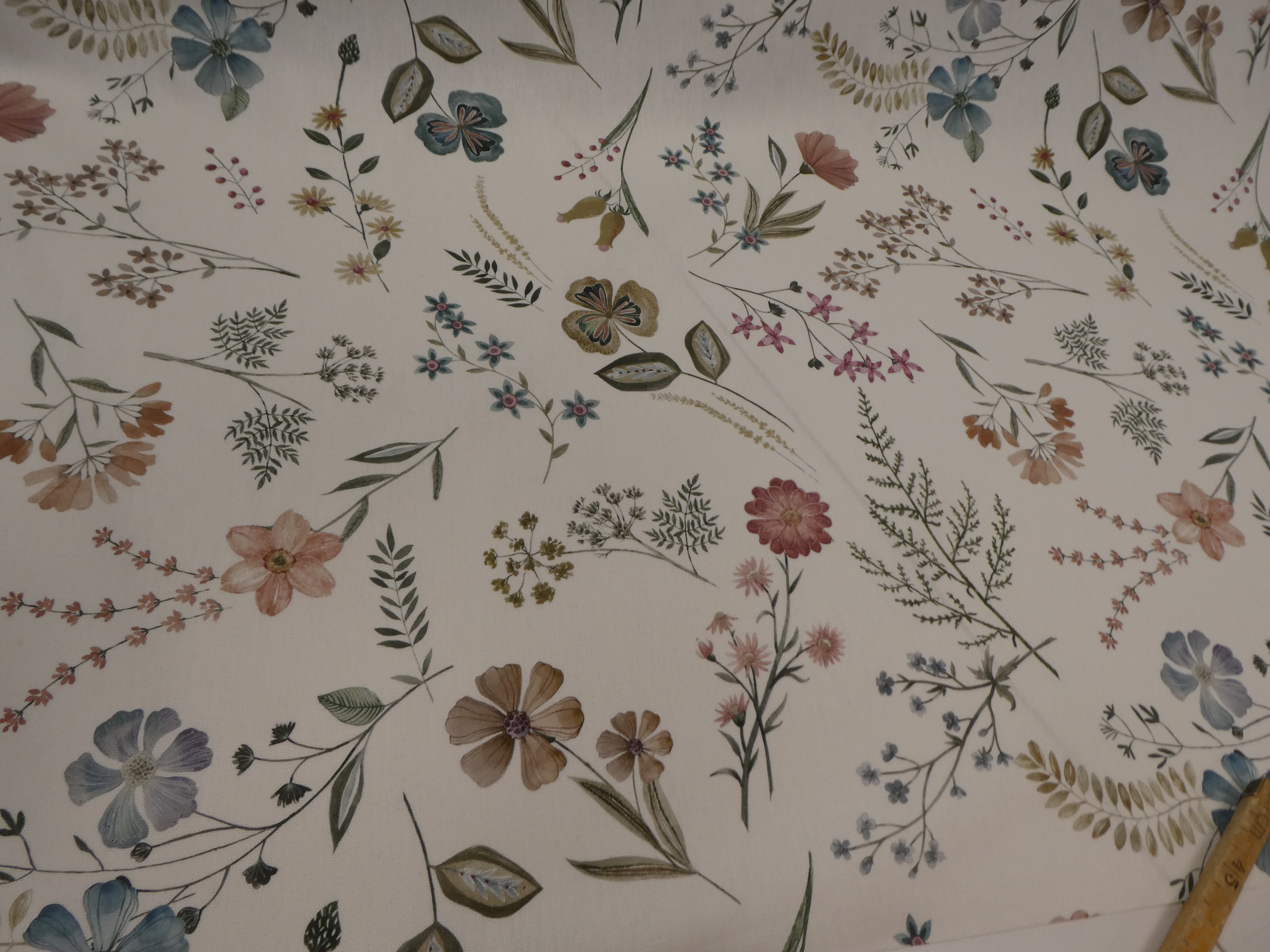 Bellis multi ljus botten med blommor
