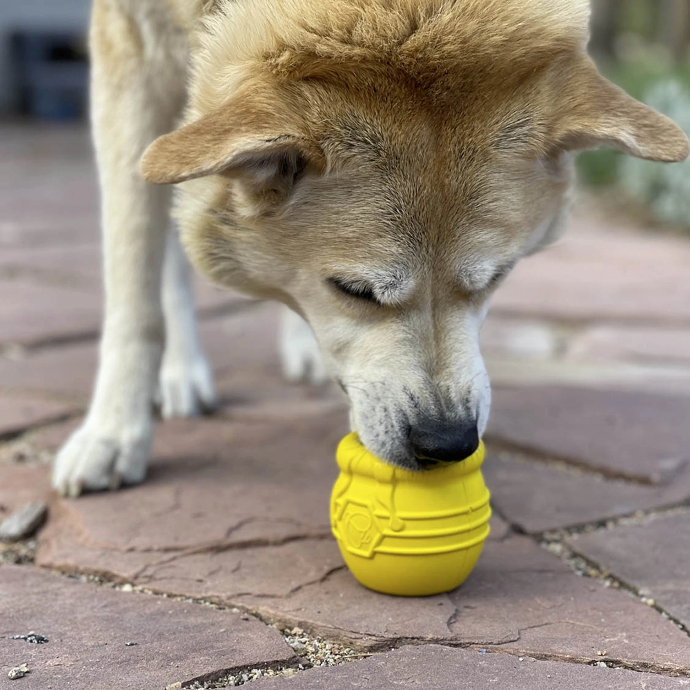 Sodapup Honeypot matberikning hund
