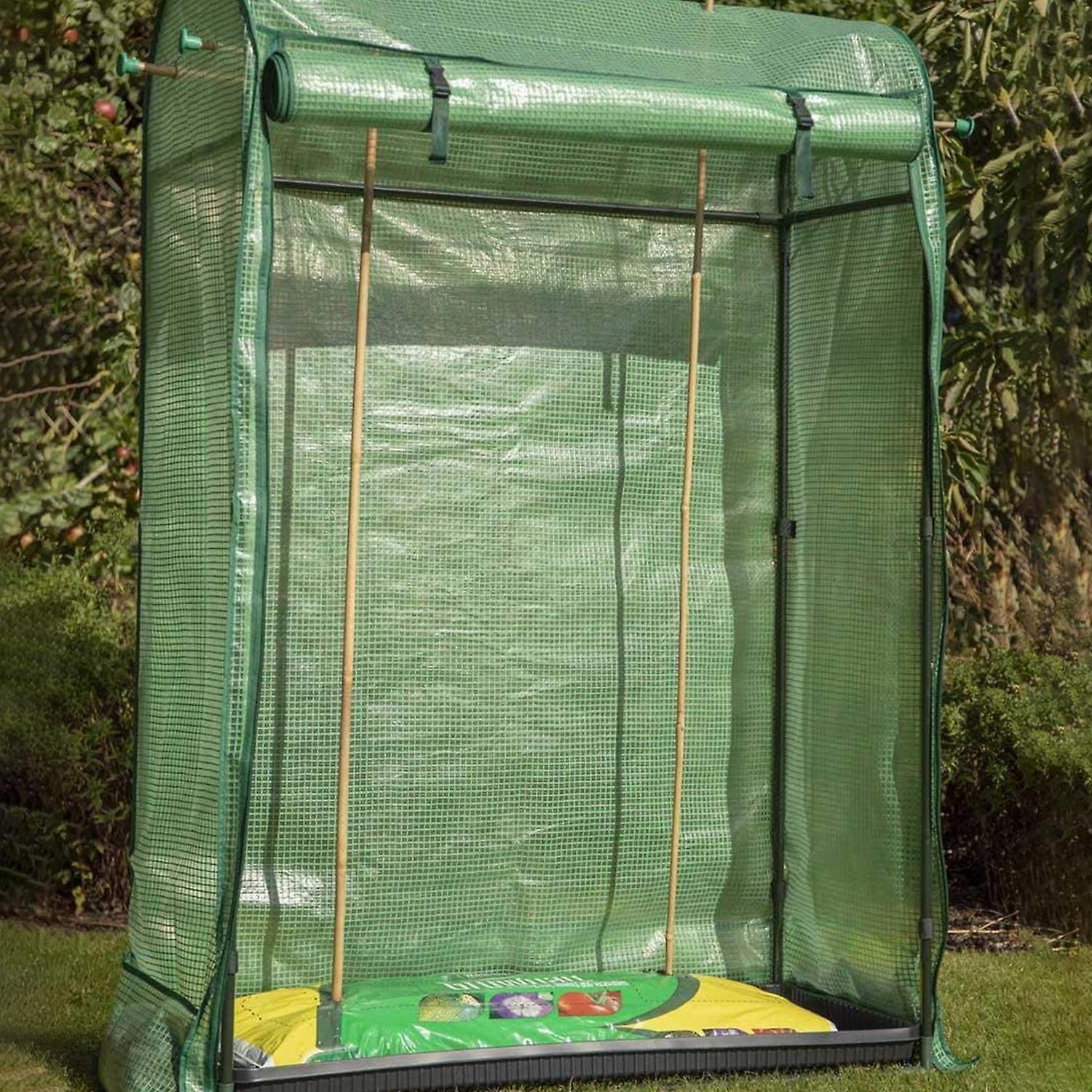 Premium Tomato Growhouse  - 2