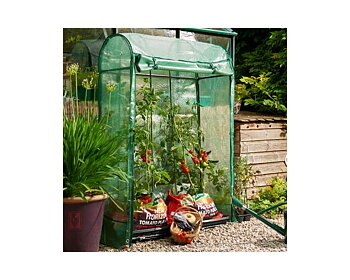 Premium Tomato Growhouse 