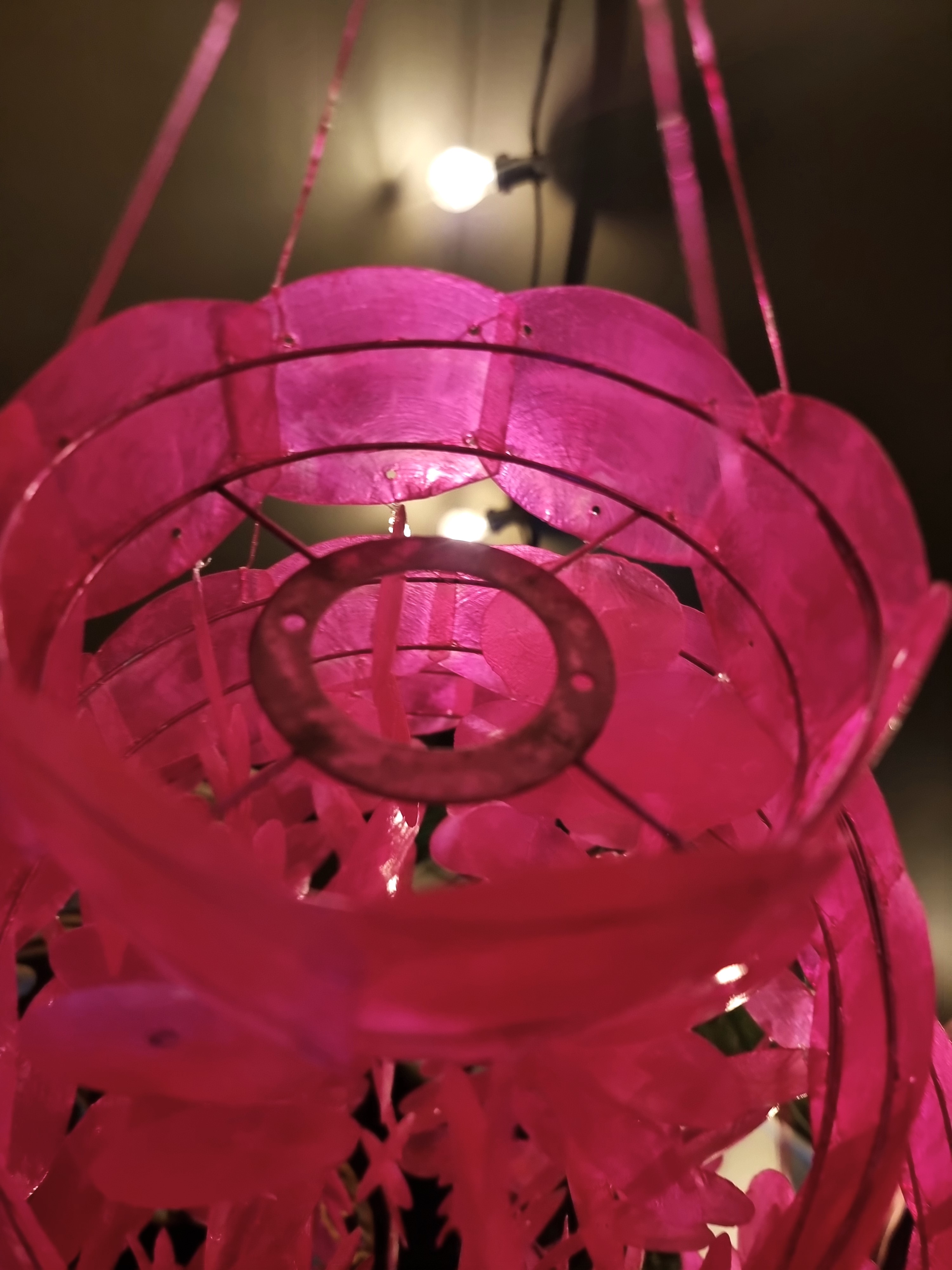 Snäckskalsskärm - Snäckskalslampa - Neonrosa - 5