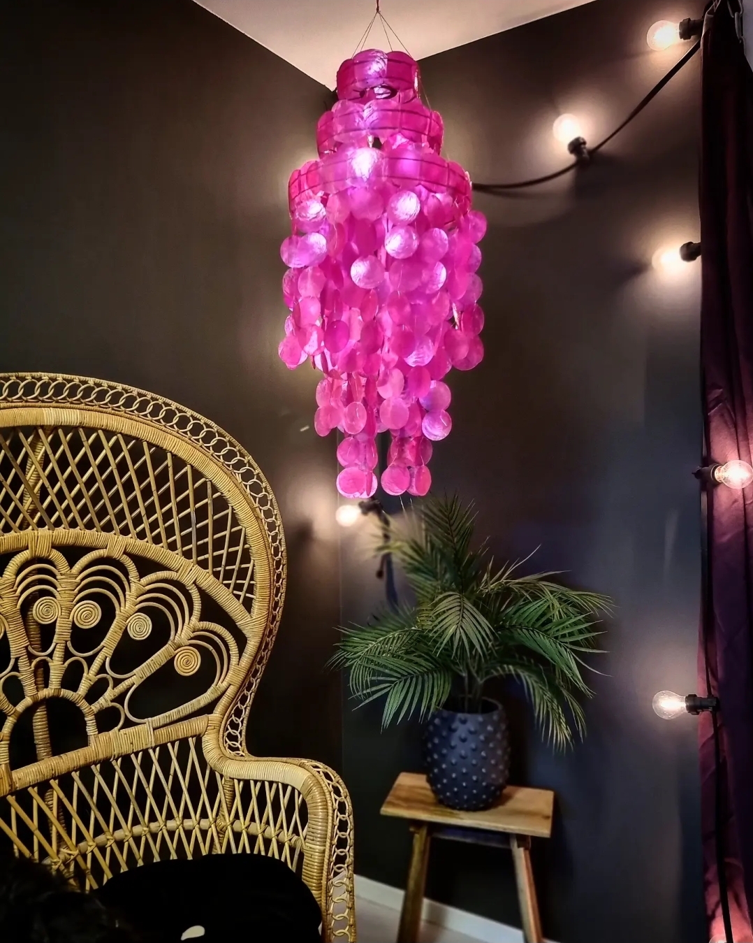 Snäckskalsskärm - Snäckskalslampa - Neonrosa - 3