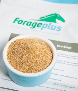 FORAGEPLUS YEA SACC 1 KG