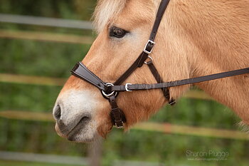 Sidepull anatomiskt Edix© 'Nyra', cob