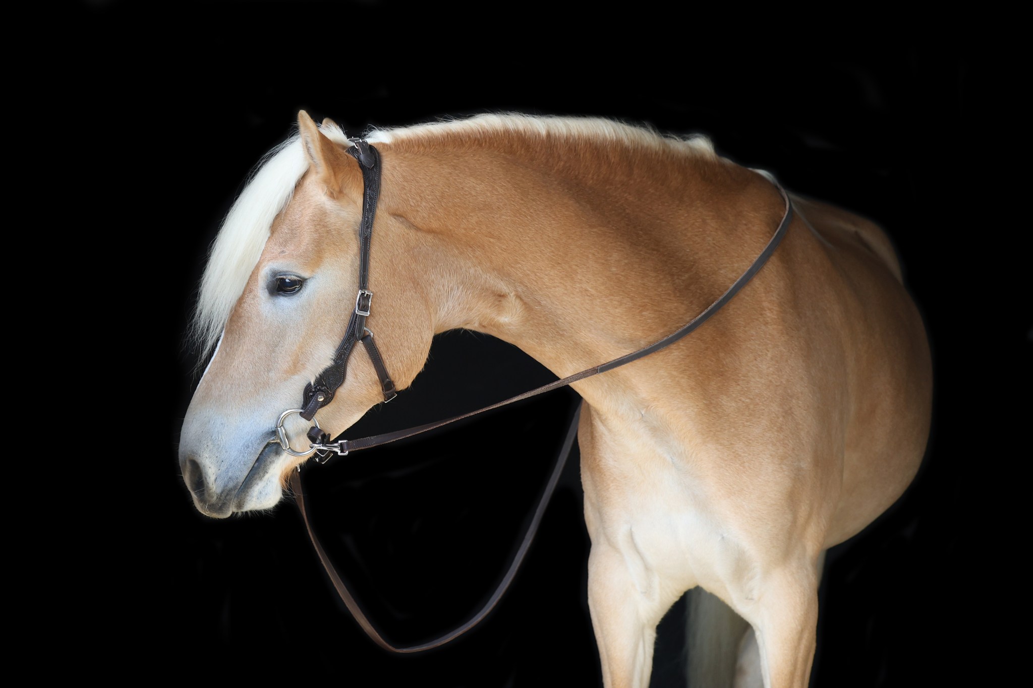 Edix© Rose ED3 anatomical bridle, black - 8