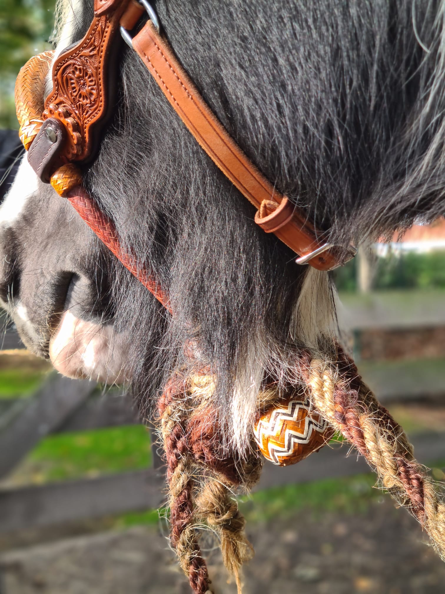 Edix© Rose ED3 anatomical bridle, black - 19