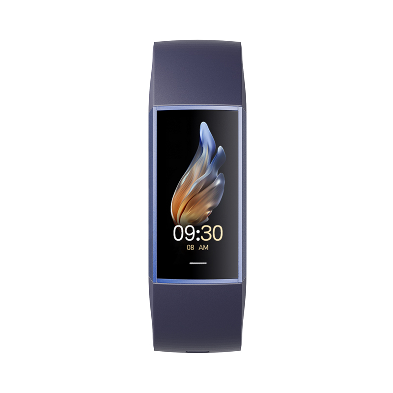 Philippe Palmer Fitness Bracelet LP11 AMOLED Blue - 2