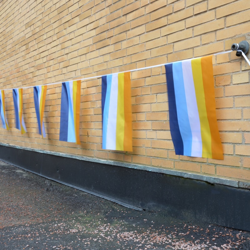 AroAce flag bunting medium size - 2