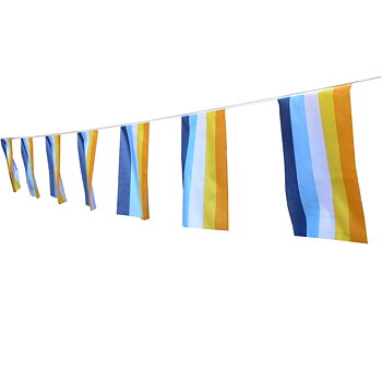 AroAce Flaggenspiel - Mittel