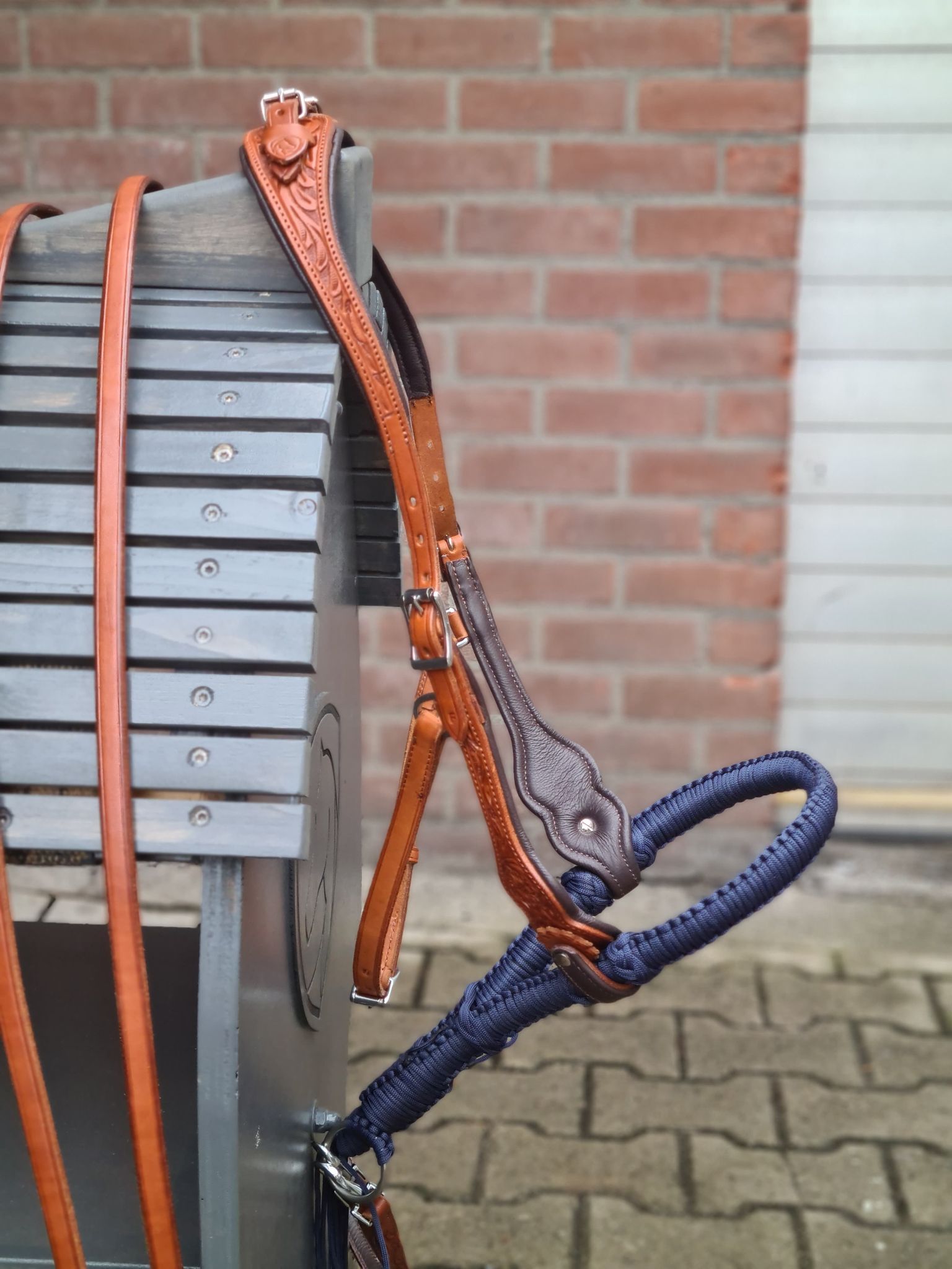 Bosal Edix© Alano, navy - 4