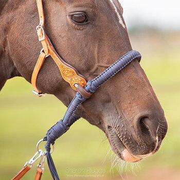 Bosal Edix© Alano, navy