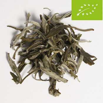 White Tea Snow Buds EKO