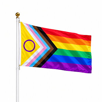 Inter Progress XL Flagpole flag
