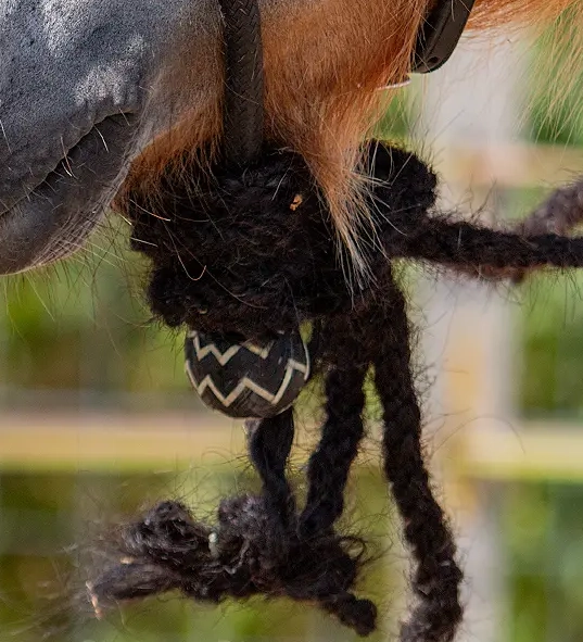 Edix© Mecate "Calif", horse hair (670 cm), black