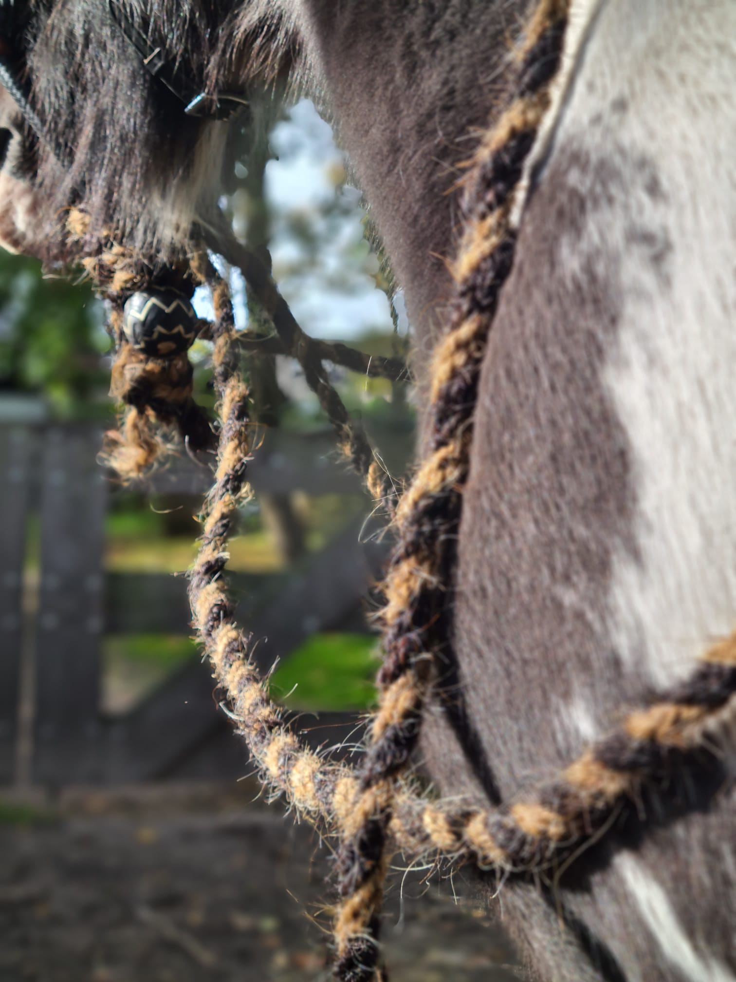 Edix© Mecate "Calif", horse hair (670 cm), black - 5