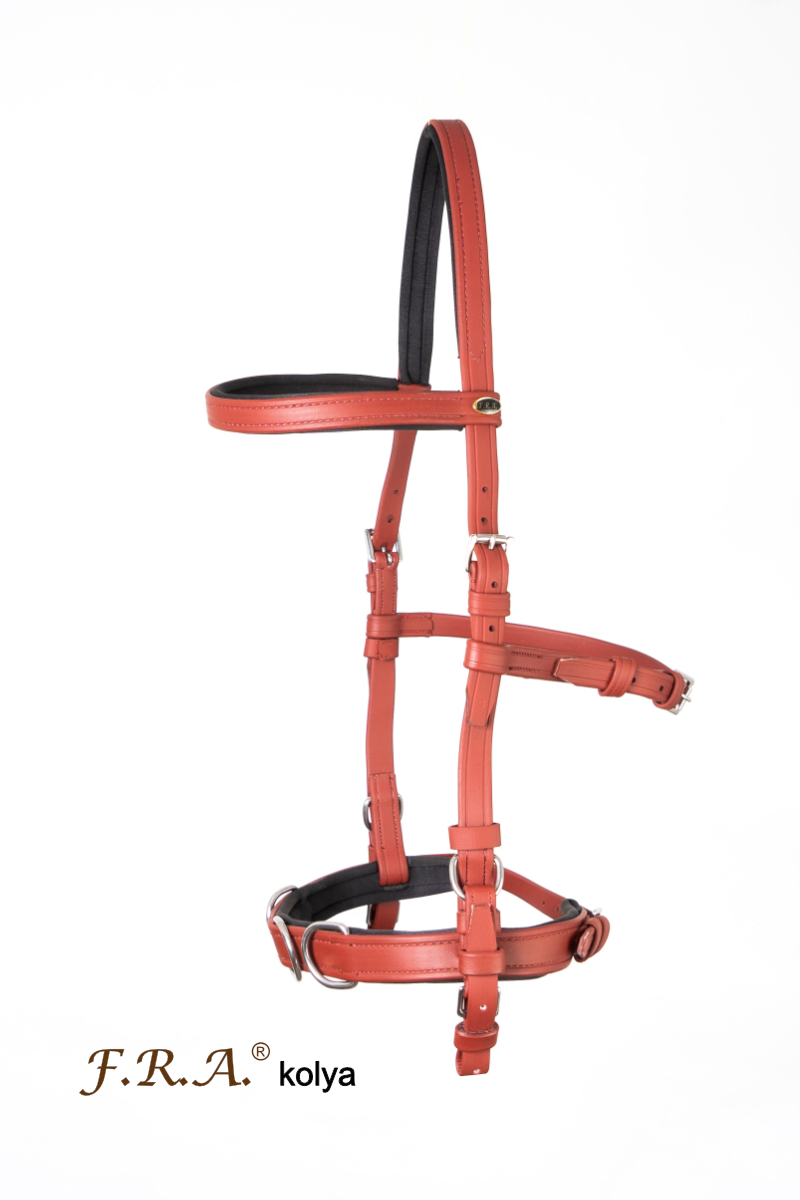Cavesson / sidepull (synthetic leather / VEGAN) "F.R.A® "Kolya", for riding and lunging - 2