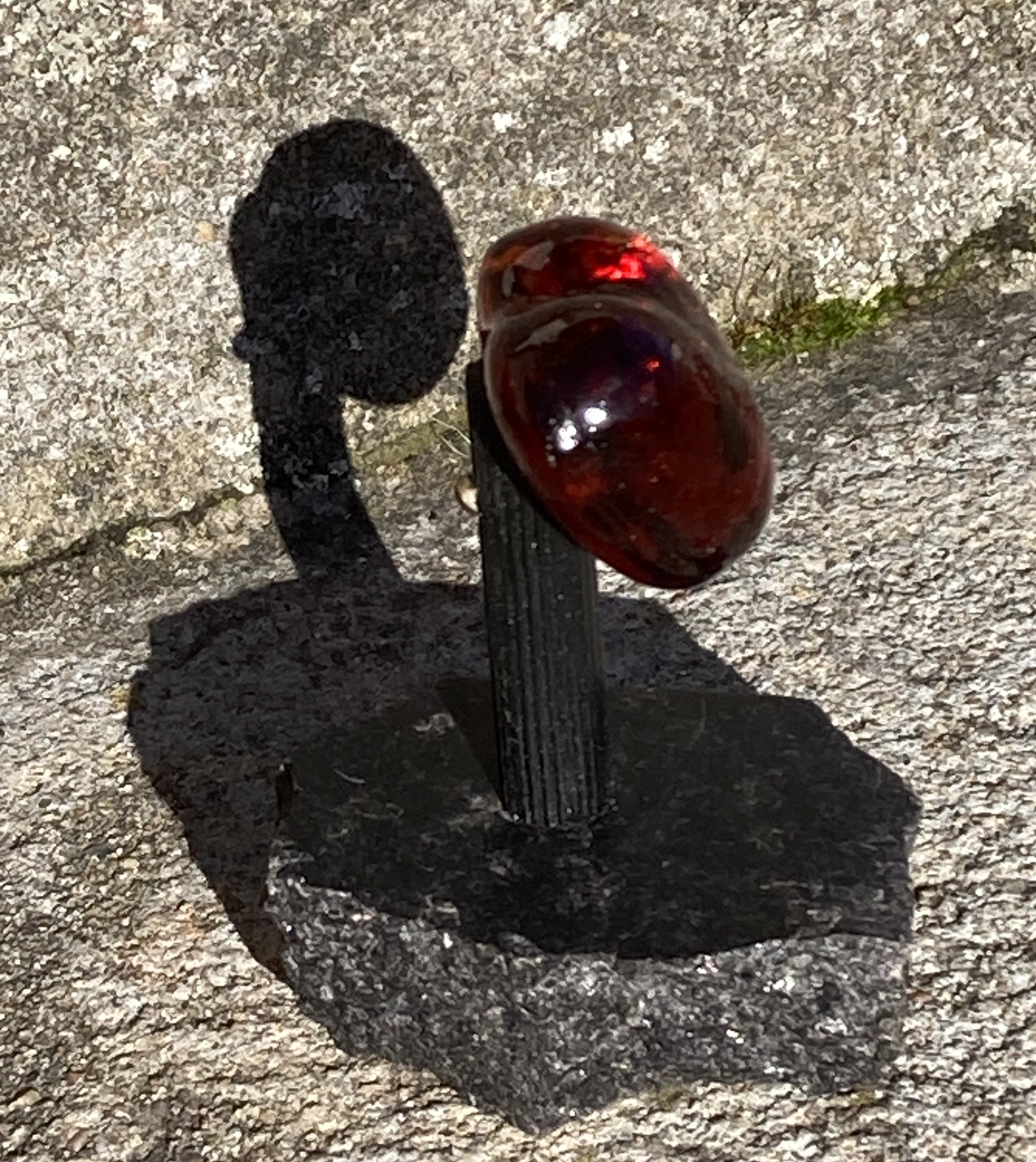 Stenkär - 2