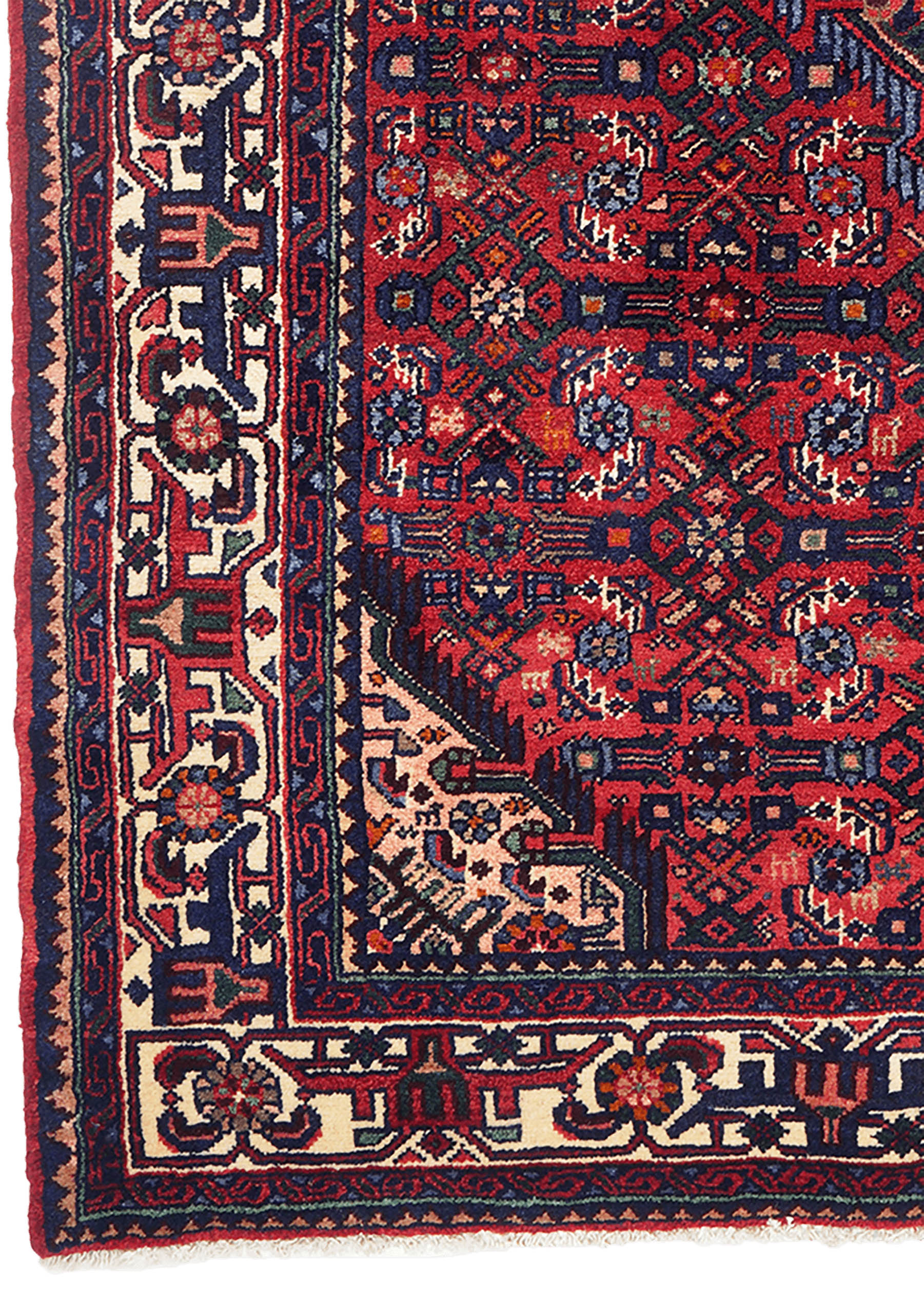 Asadabad 132x207cm - 4