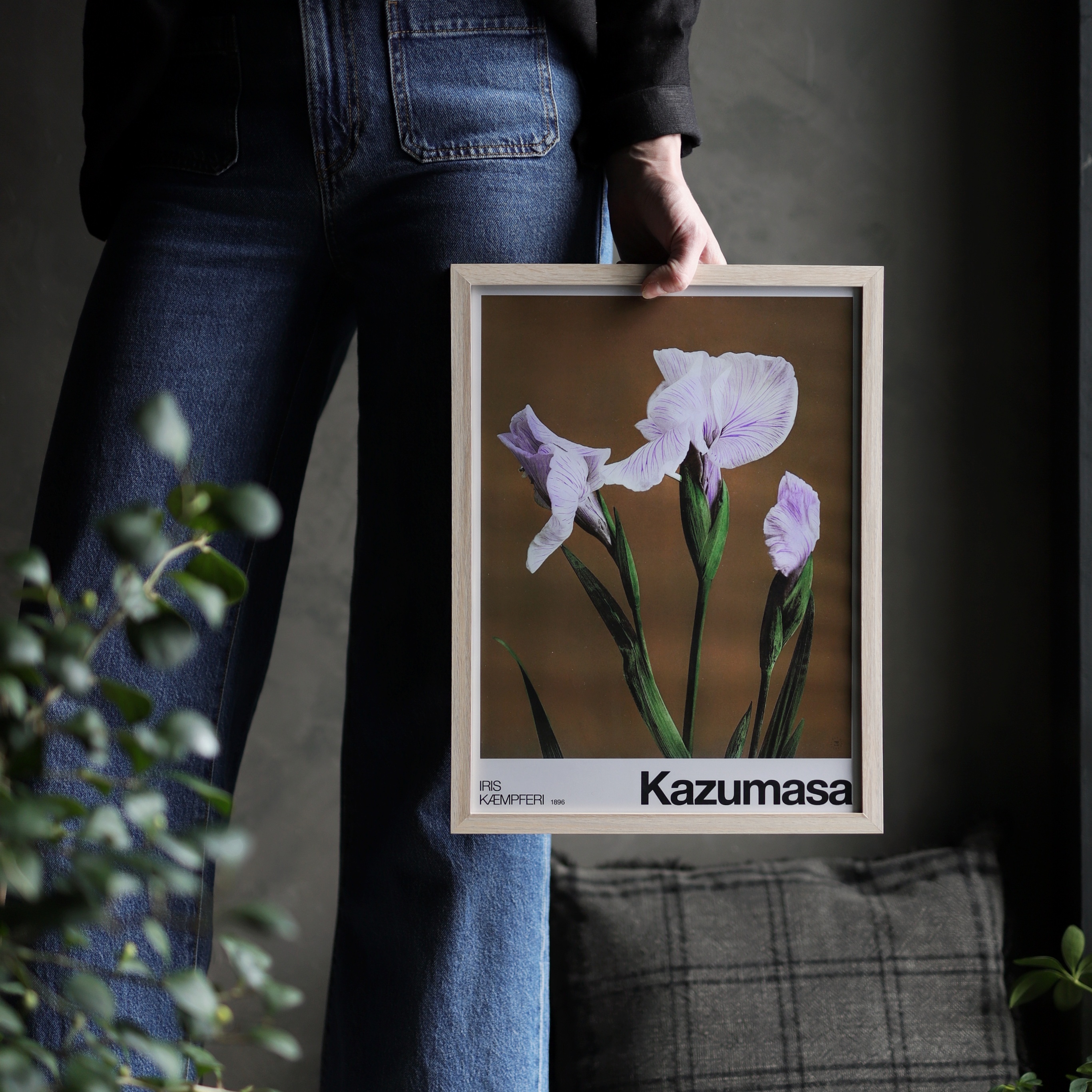 Print -  Iris flowers