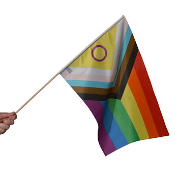 Inter Progress Hand Flag Medium